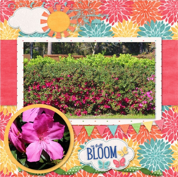 In Full Bloom