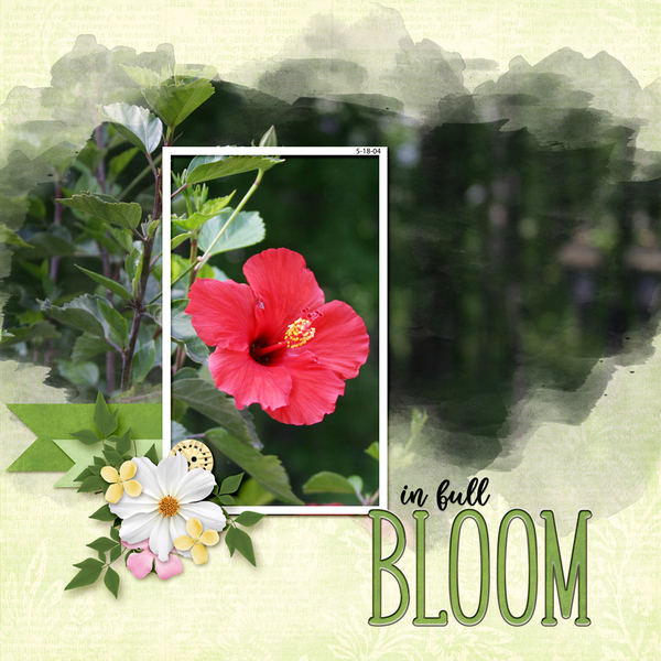 In Full Bloom