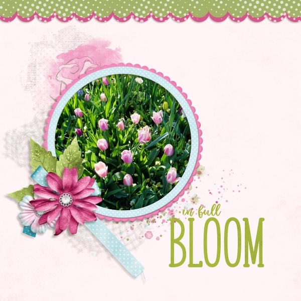 In full bloom