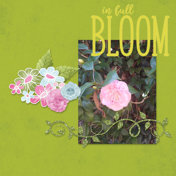 In Full Bloom