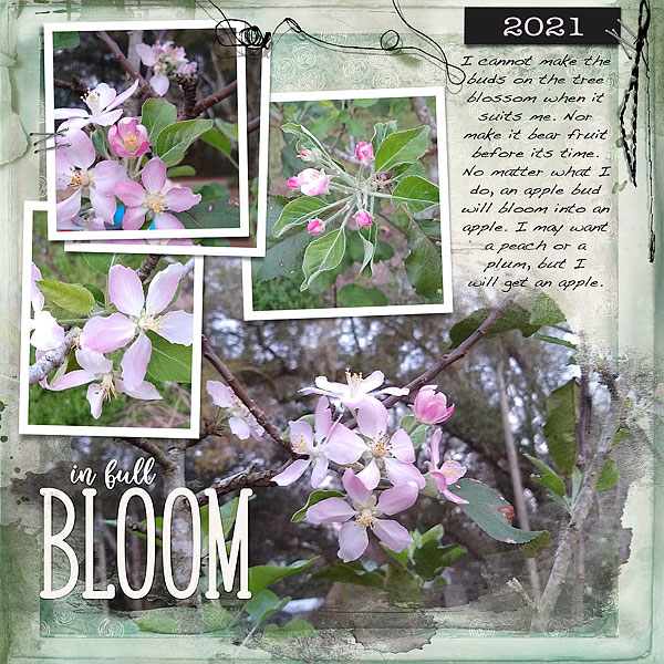 In Full Bloom