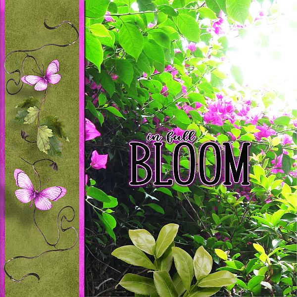 ...in full Bloom