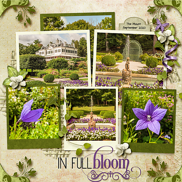 In Full Bloom