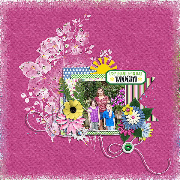 in full bloom