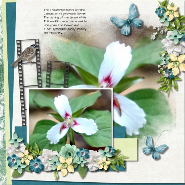 In Full Bloom