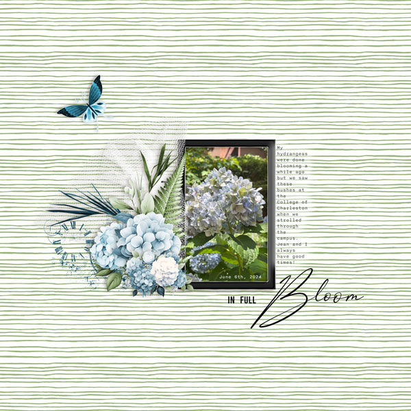 In Full Bloom