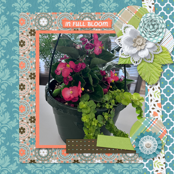 In Full Bloom
