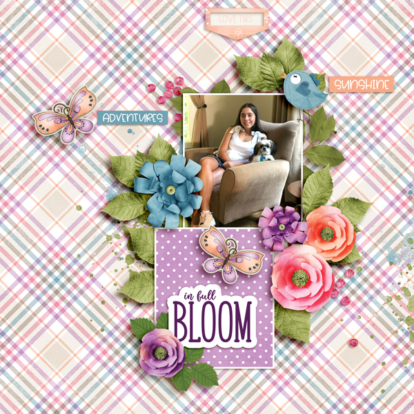 in-full-Bloom2