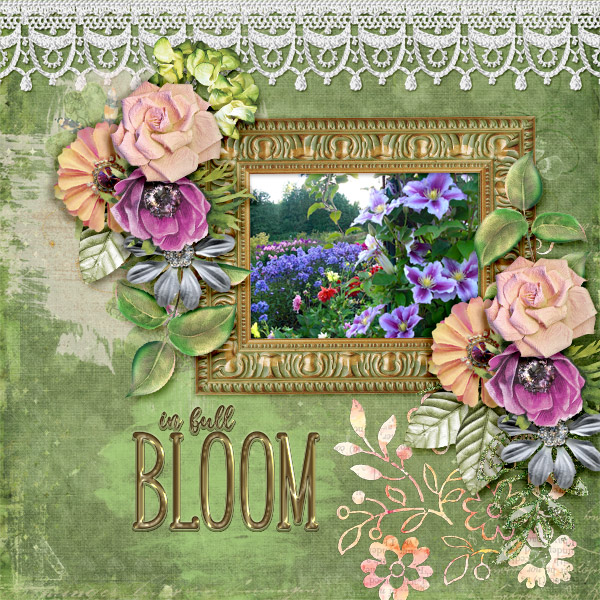 In-full-bloom3