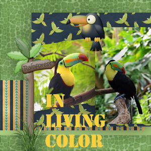 In living Color