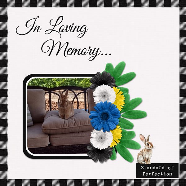 In Loving Memory
