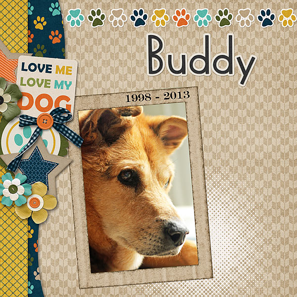 In Memory of Buddy