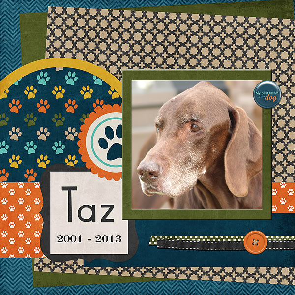 In Memory of Taz
