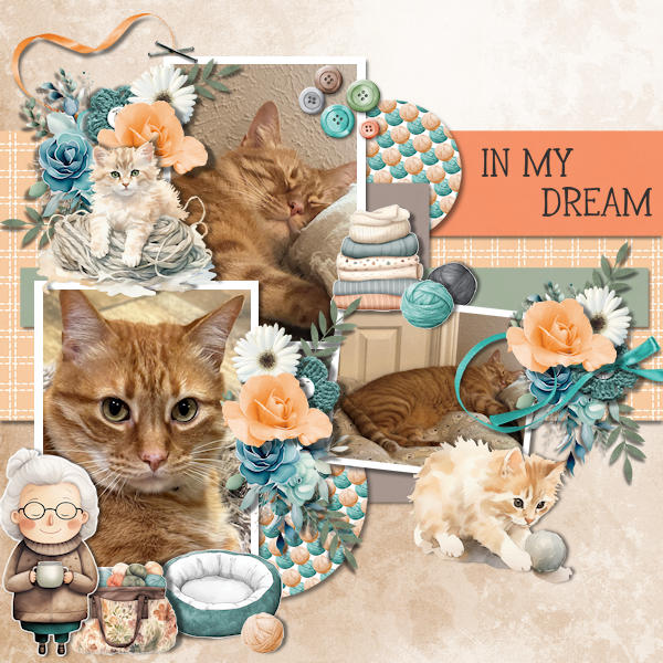 In My Dream