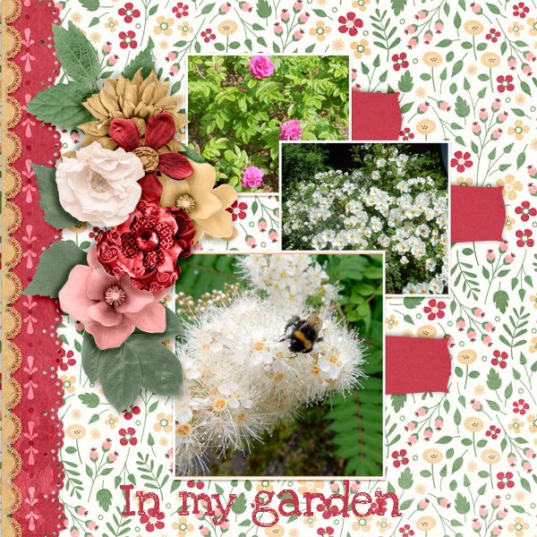 In-my-garden.jpg