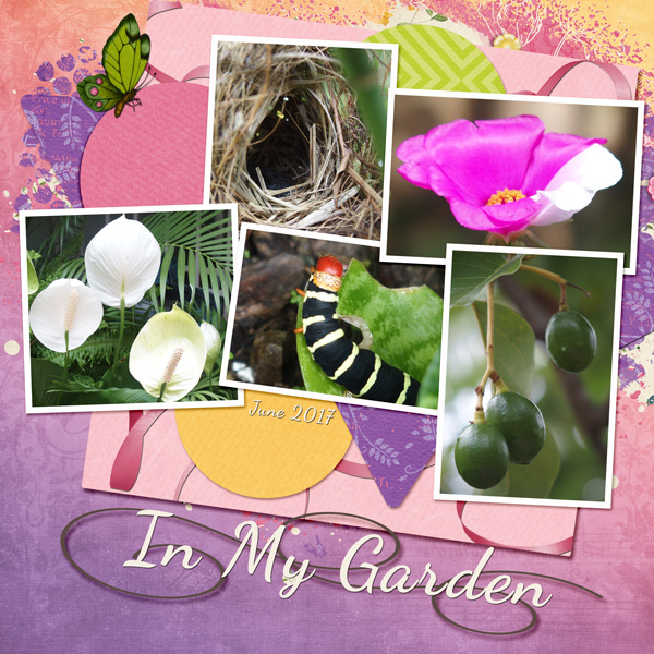 In My Garden