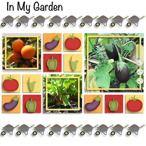 In My Garden