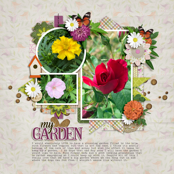 In my garden