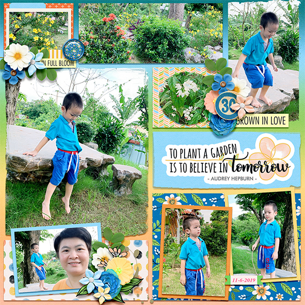 In my garden