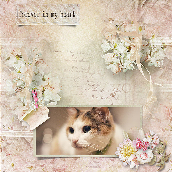 In My Heart