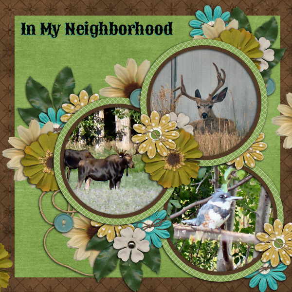 In My Neighborhood