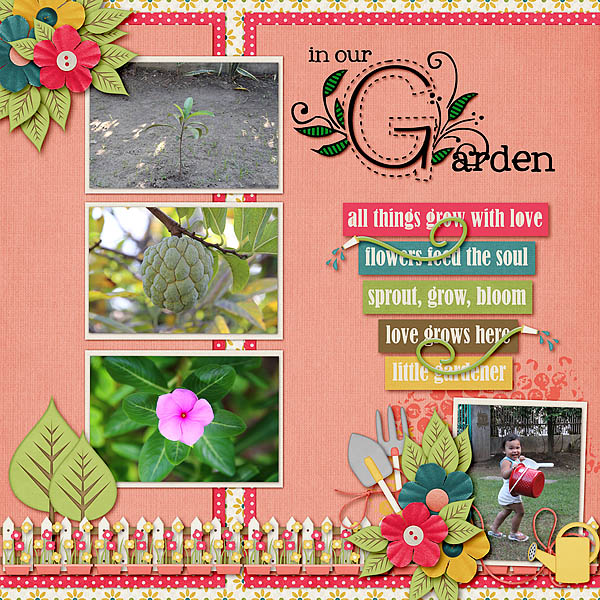 In Our Garden