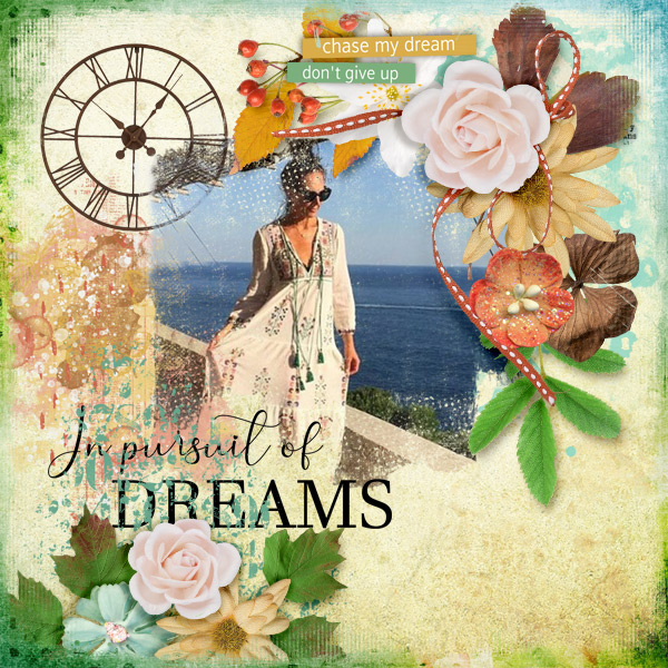 In-pursuit-of-dreams