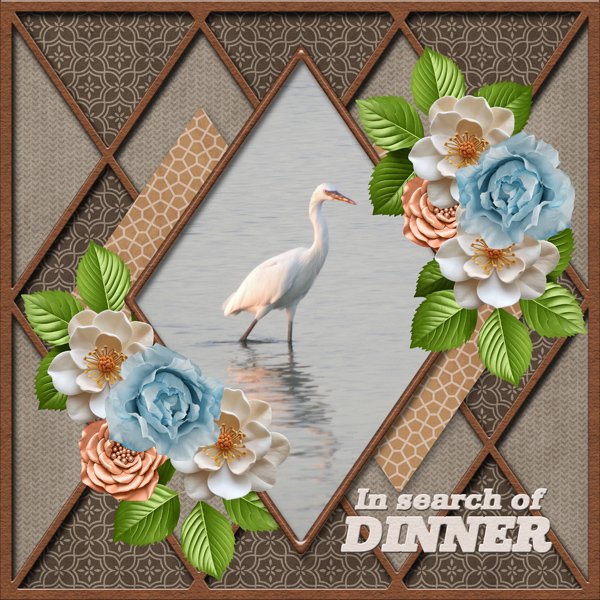 In Search of  DINNER