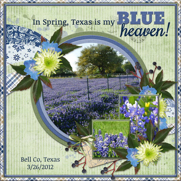In Spring, Texas is my BLUE heaven!