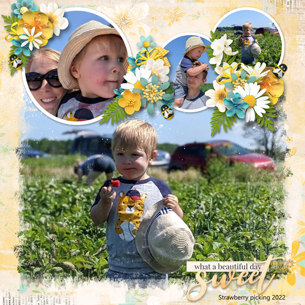 In the berry patch