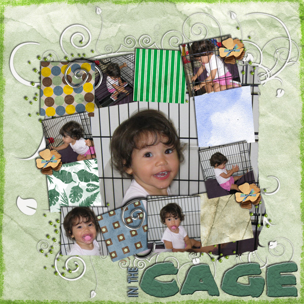 In The Cage