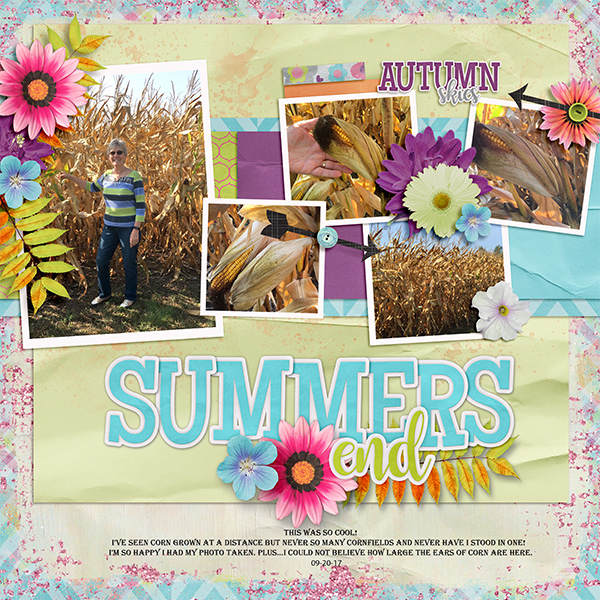 In the corn field