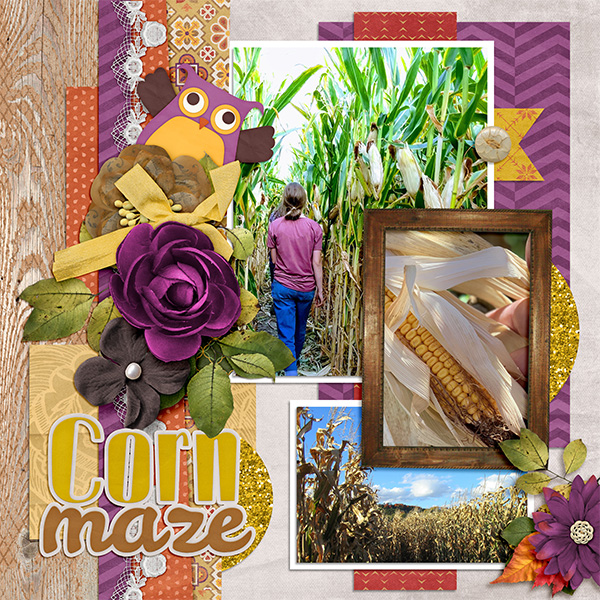 In the Corn Maze