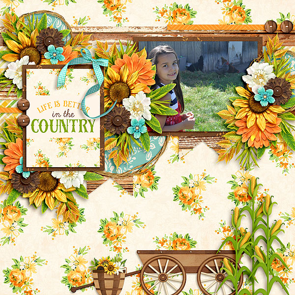 In the Country