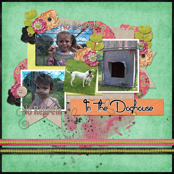 In the Doghouse