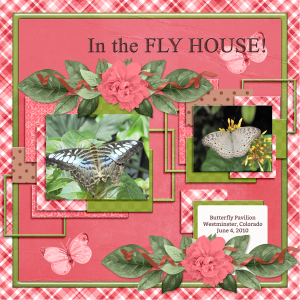 In the FLY HOUSE!