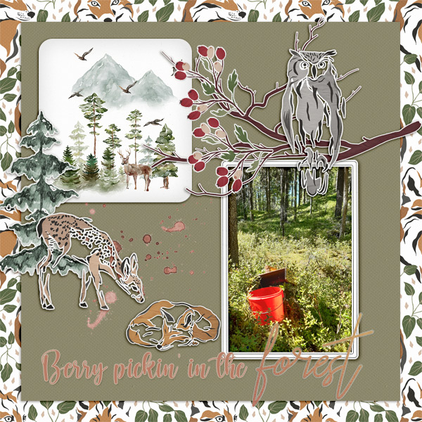 In-the-forest2