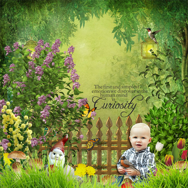 In the Garden LO1