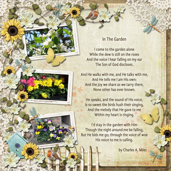 In The Garden