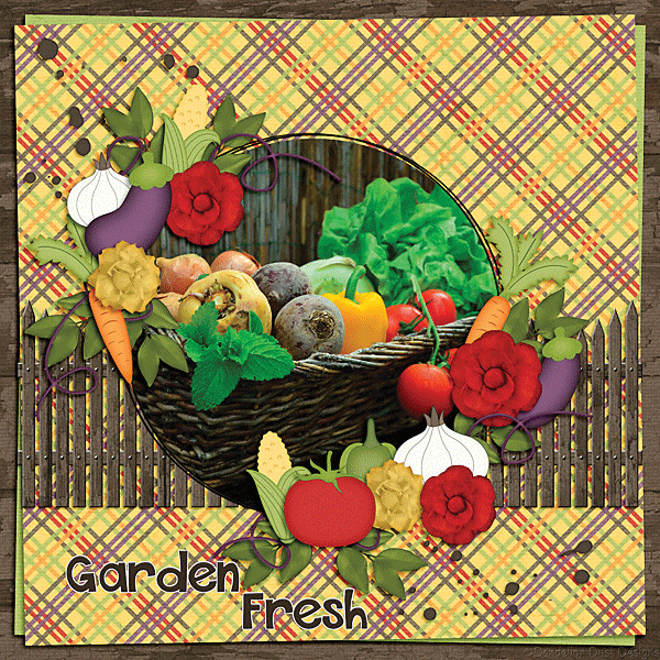 In The Garden