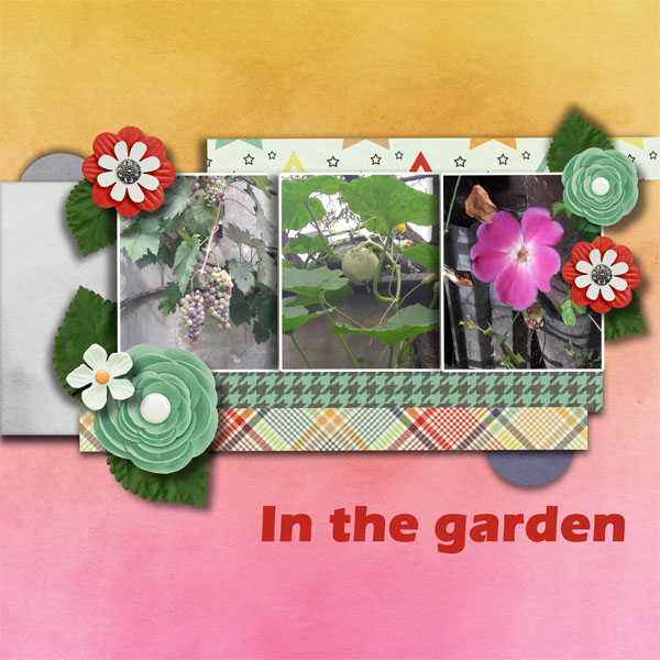 In the garden