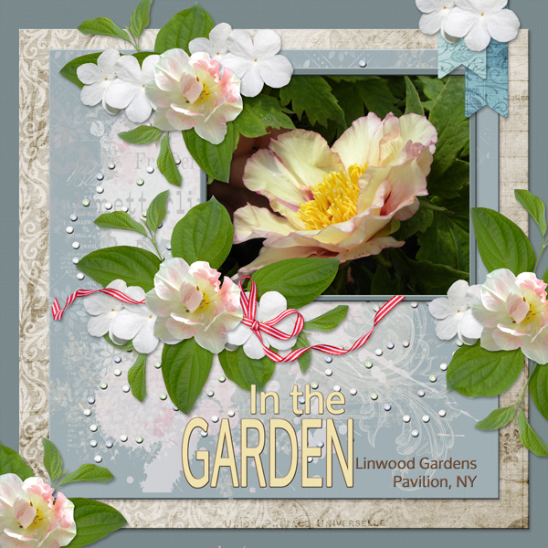 In the Garden