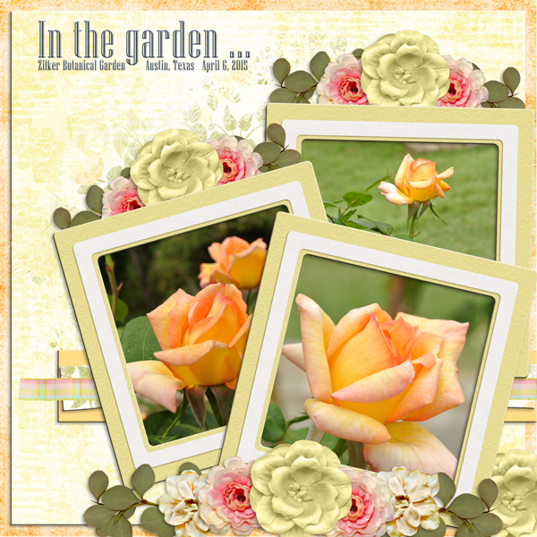 In the garden ...