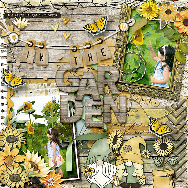 In the garden