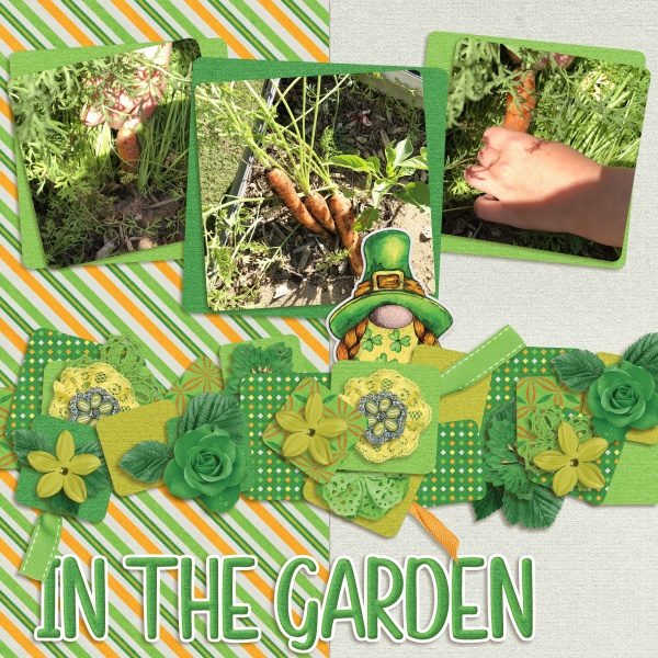 In the garden