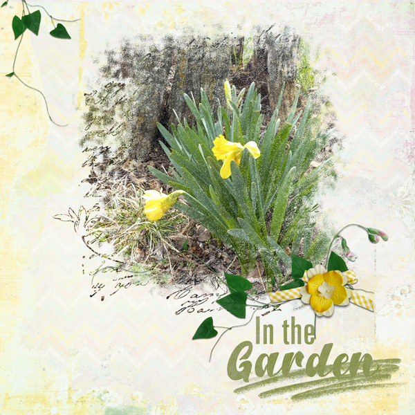 In the Garden