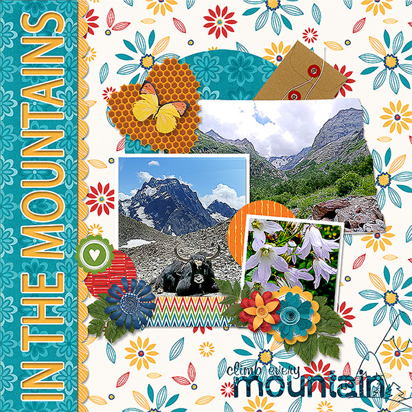 In the Mountains