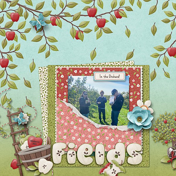In the Orchard Fields in 2024
