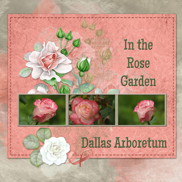 In the Rose Garden - Dallas Arboretum