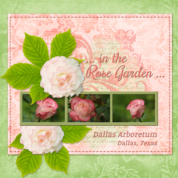 ... in the Rose Garden ...